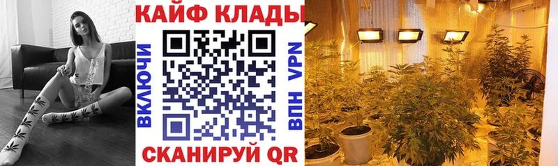 Виды наркотиков купить Котельнич Бутират  Cocaine  Лсд 25  МЕФ  ГАШ  hydra онион  АМФ  Псилоцибиновые грибы 