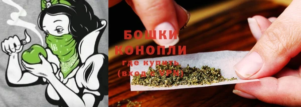 не бодяженный Белокуриха