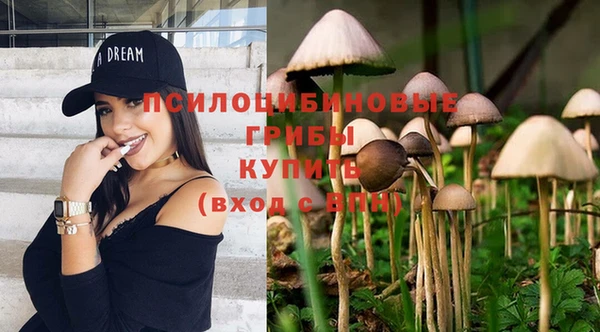 не бодяженный Белокуриха